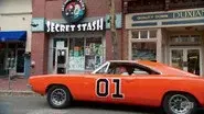 Dukes of Jersey still