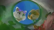 Snobine, the Snobbish Cat still