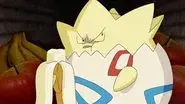 Where No Togepi Has Gone Before! still