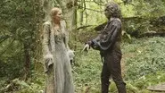 The Dark Swan still
