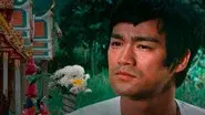 The Death of Bruce Lee still