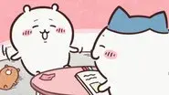 Study Session / Re-examination still