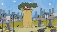 The Mighty Pinkwood Tree still