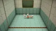 Rabbid Test N°98006-c: The Chair still