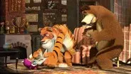 Stripes and Whiskers still