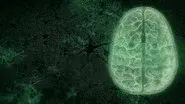 Your Brain: Who's in Control? (2) still