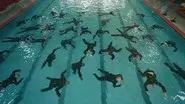 Sink or Swim still