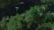 Eagle Island still