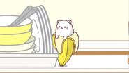 The Kitty Who Lives in a Banana still