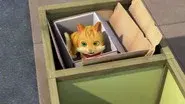 Cat in the Box still