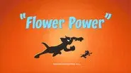 Flower Power still