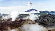 Wild Indonesia: Magical Forests still