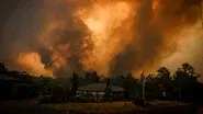 A Continent on Fire, The Server, West Side Story still