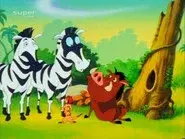 Timon in Love still