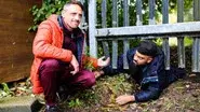 Boys in the Wood still