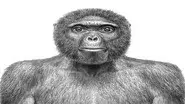 The Extraordinary Story of Man (First Part) (Second Version) still