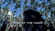 Sigh of the Tiger still