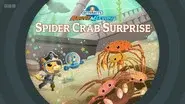 Spider Crab Surprise still