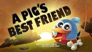 A Pig's Best Friend still