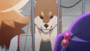 I Want to Become Popular / First Errand / Idol Activities still
