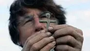 The Oak Island Curse still