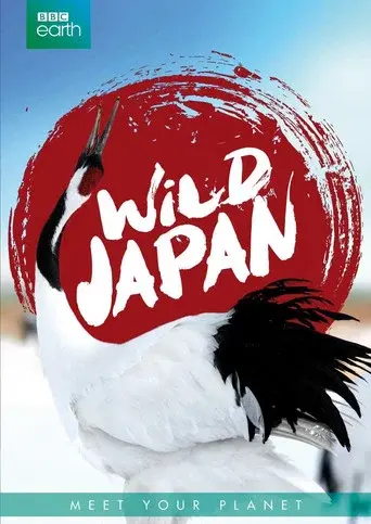 Japan: Earth's Enchanted Islands season 1 poster