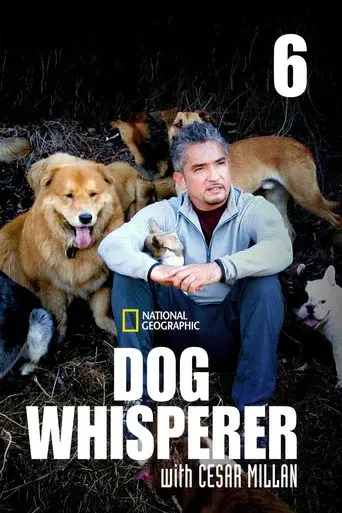 Dog Whisperer season 6 poster