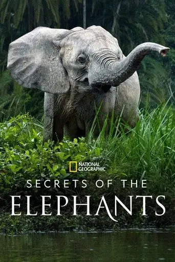 Secrets of the Elephants season 1 poster