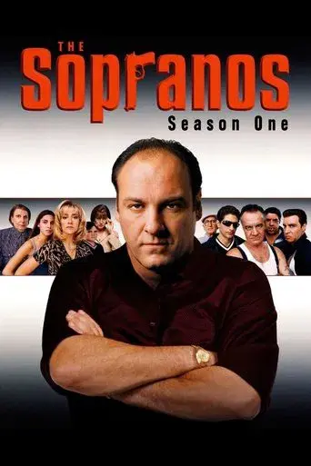 The Sopranos season 1 poster