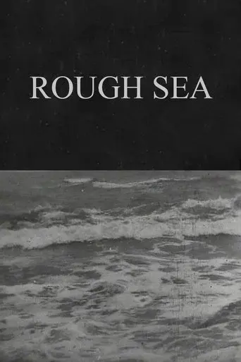 Rough Sea poster