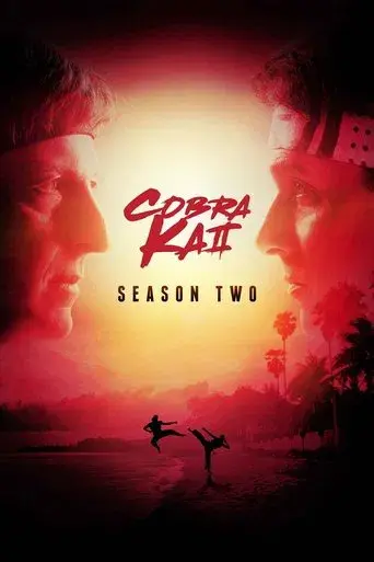 Cobra Kai season 2 poster
