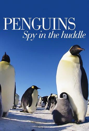 Penguins: Spy in the Huddle season 1 poster