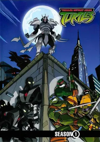 Teenage Mutant Ninja Turtles season 1 poster