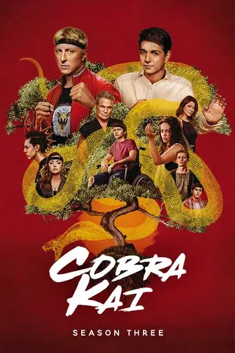 Cobra Kai season 3 poster