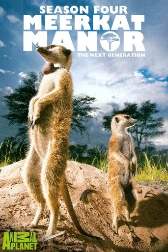 Meerkat Manor season 4 poster