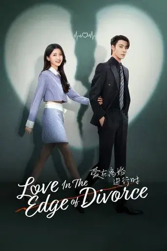 Love in the Edge of Divorce season 1 poster