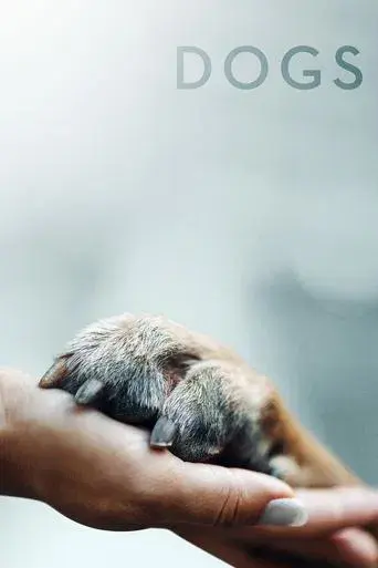 Dogs poster