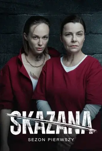 The Convict season 1 poster