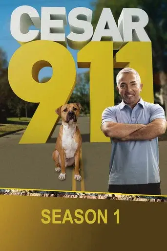 Cesar 911 season 1 poster