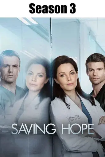 Saving Hope season 3 poster