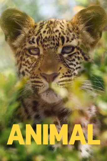 Animal season 1 poster