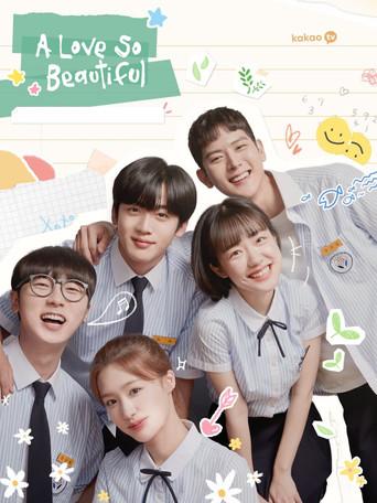 A Love So Beautiful season 1 poster