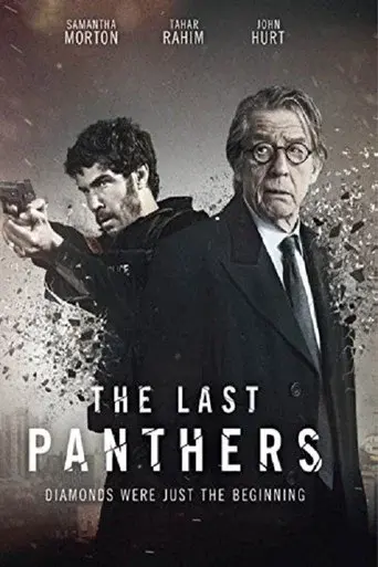 The Last Panthers season 1 poster