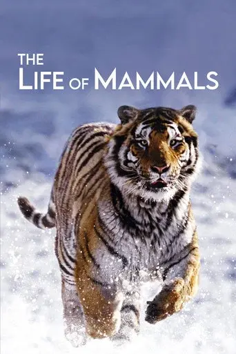 The Life of Mammals season 1 poster