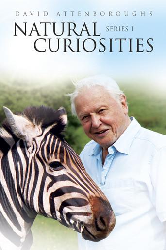 David Attenborough's Natural Curiosities season 1 poster