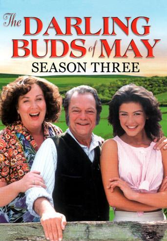 The Darling Buds of May season 3 poster