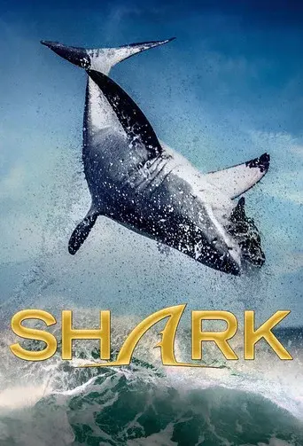 Shark season 1 poster