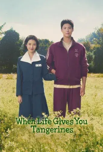 When Life Gives You Tangerines season 1 poster