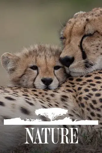 Nature poster