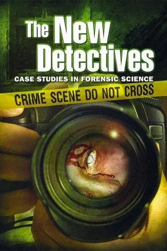 The New Detectives season 4 poster